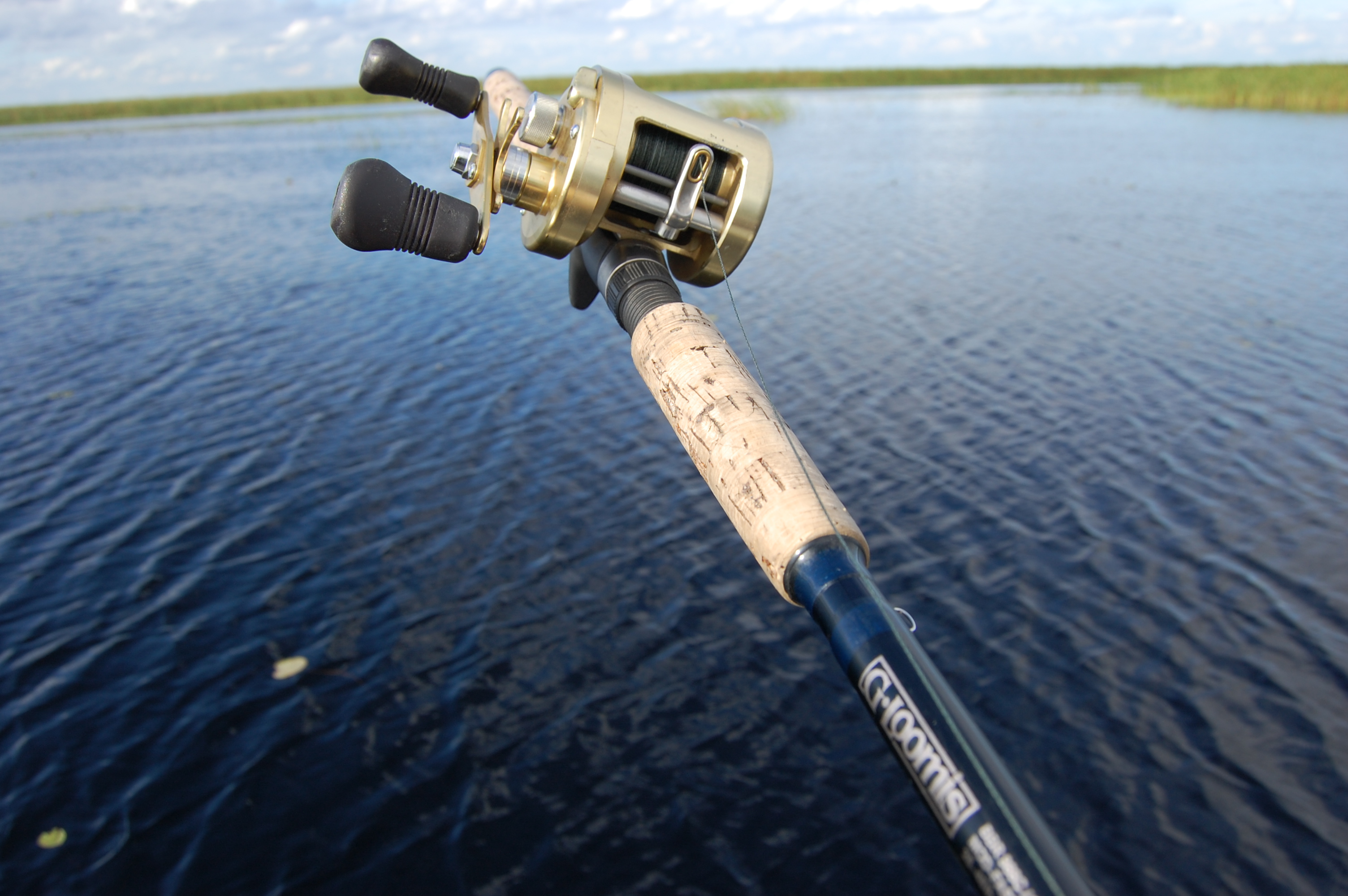 cardiff vs calcutta - Fishing Rods, Reels, Line, and Knots - Bass Fishing  Forums